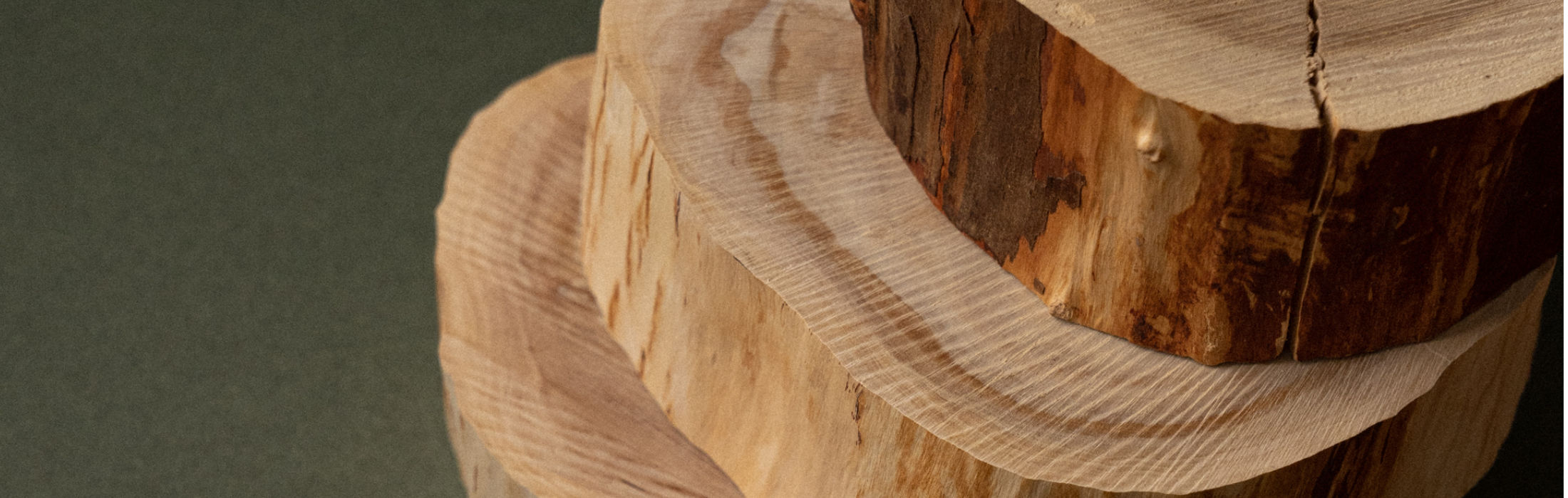 Various widths of sandalwood logs cross section